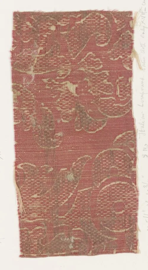 Fragment — Unknown