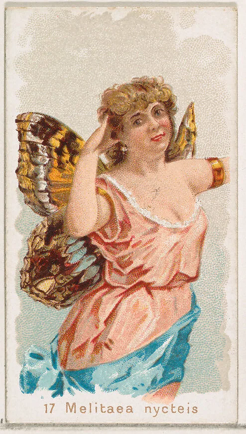 Card 17, Melitaea Nycteis, from the Butterflies series (N183) issued by Wm. S. Kimball & Co. — Julius Bien|William S. Kimball & Company