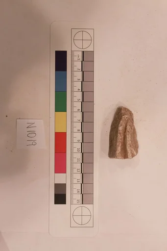 Stucco Fragment