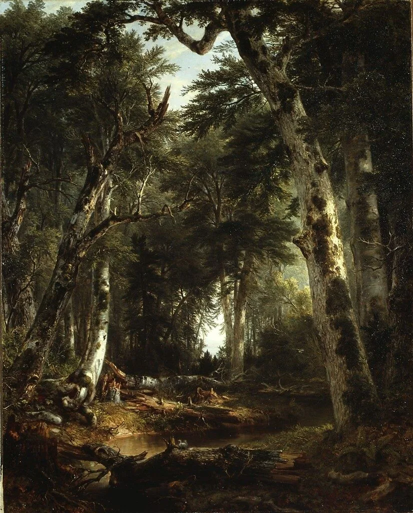In the Woods — Asher Brown Durand