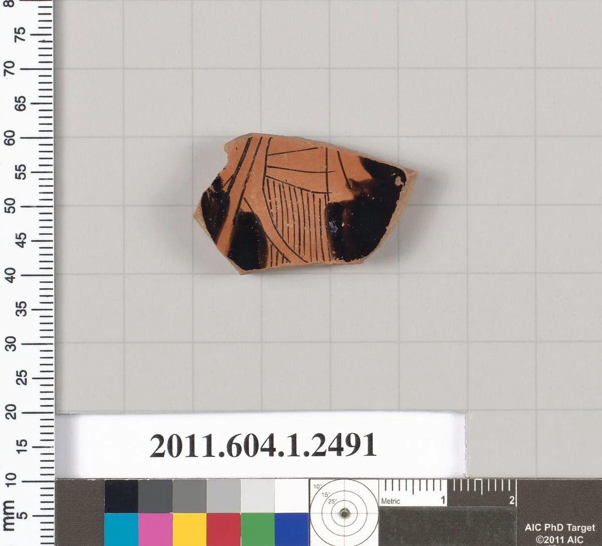 Terracotta fragment of a kylix (drinking cup) — Unknown