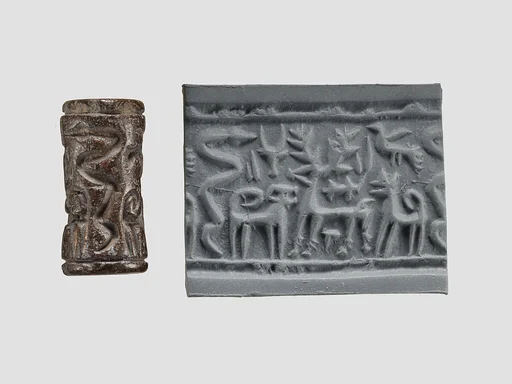 Cylinder seal