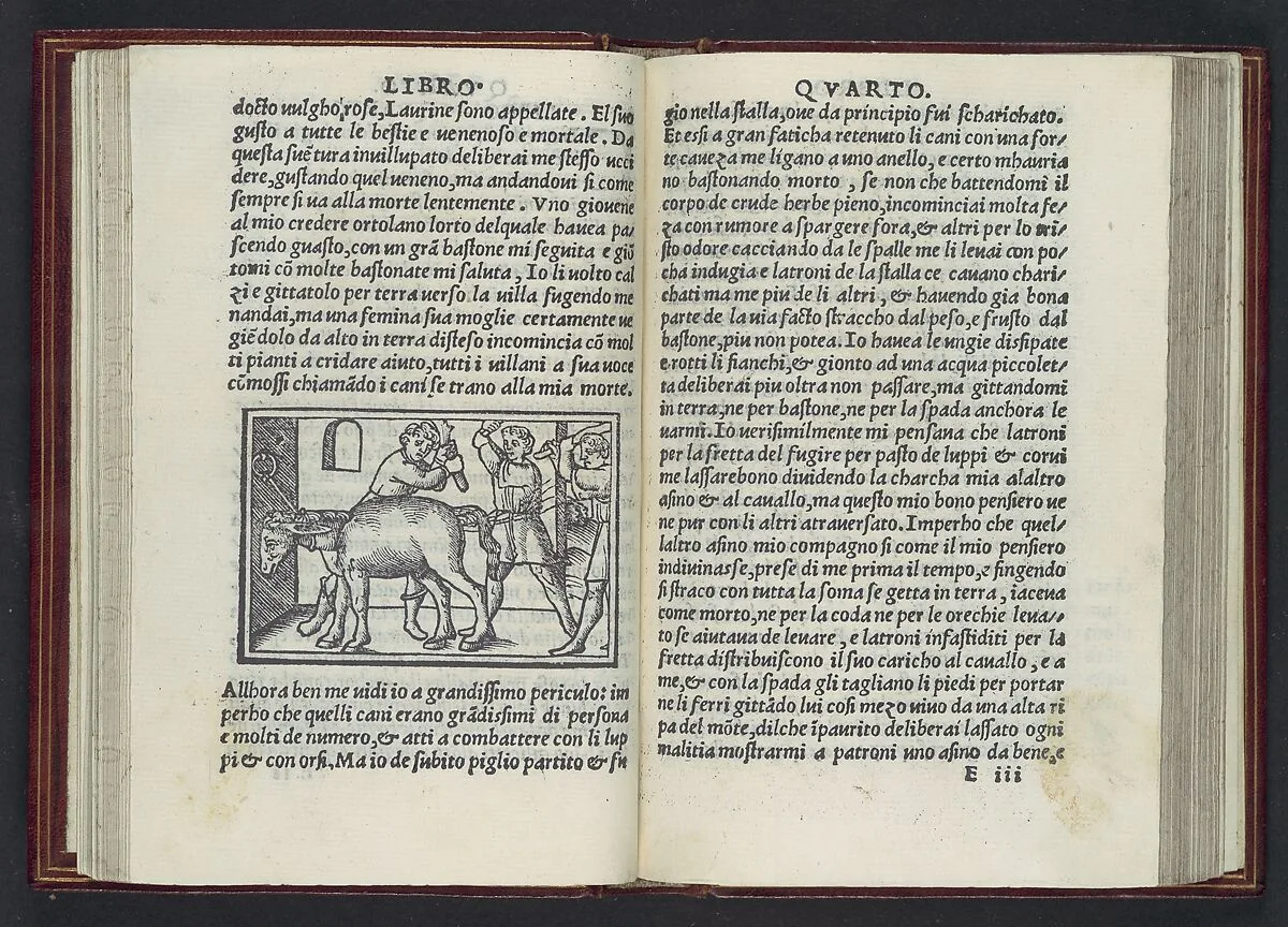 Apulegio volgare, diuiso in undeci libri, novamente stampato & in molti lochi aggiontoui che nella prima impressione gli manchaua, & de molte più figure adornato — Lucius Madaurensis Apuleius|Nicolo daristotele da Ferrara|Vincenzo de Polo da Venetia|Matteo Maria Boiardo|Benedetto Bordone