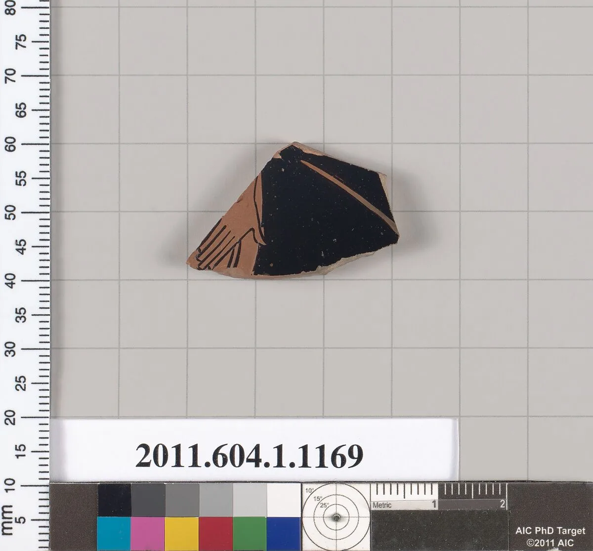 Terracotta fragment of a kylix (drinking cup) — Unknown