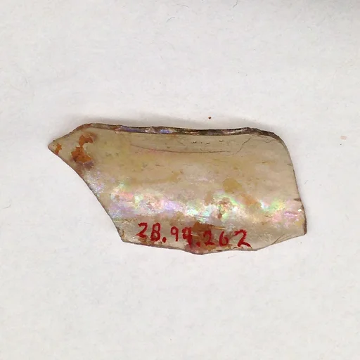 Fragment
