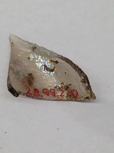 Fragment