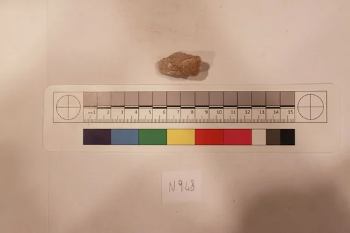 Stucco Fragment