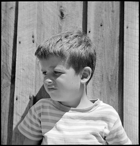 [38 Portraits and Views: Michael Voorhees (14) and Walker Evans' Studio Addition Under Construction (24), Old Lyme, Connecticut]