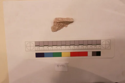 Stucco Fragment