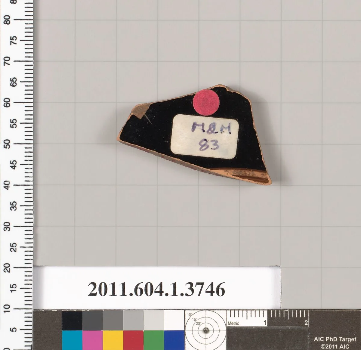 Terracotta fragment of a kylix (drinking cup) — Unknown