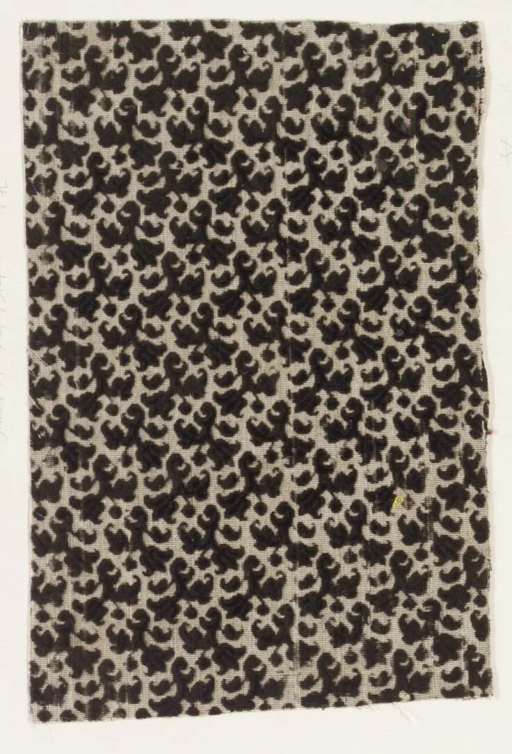 Fragment — Unknown