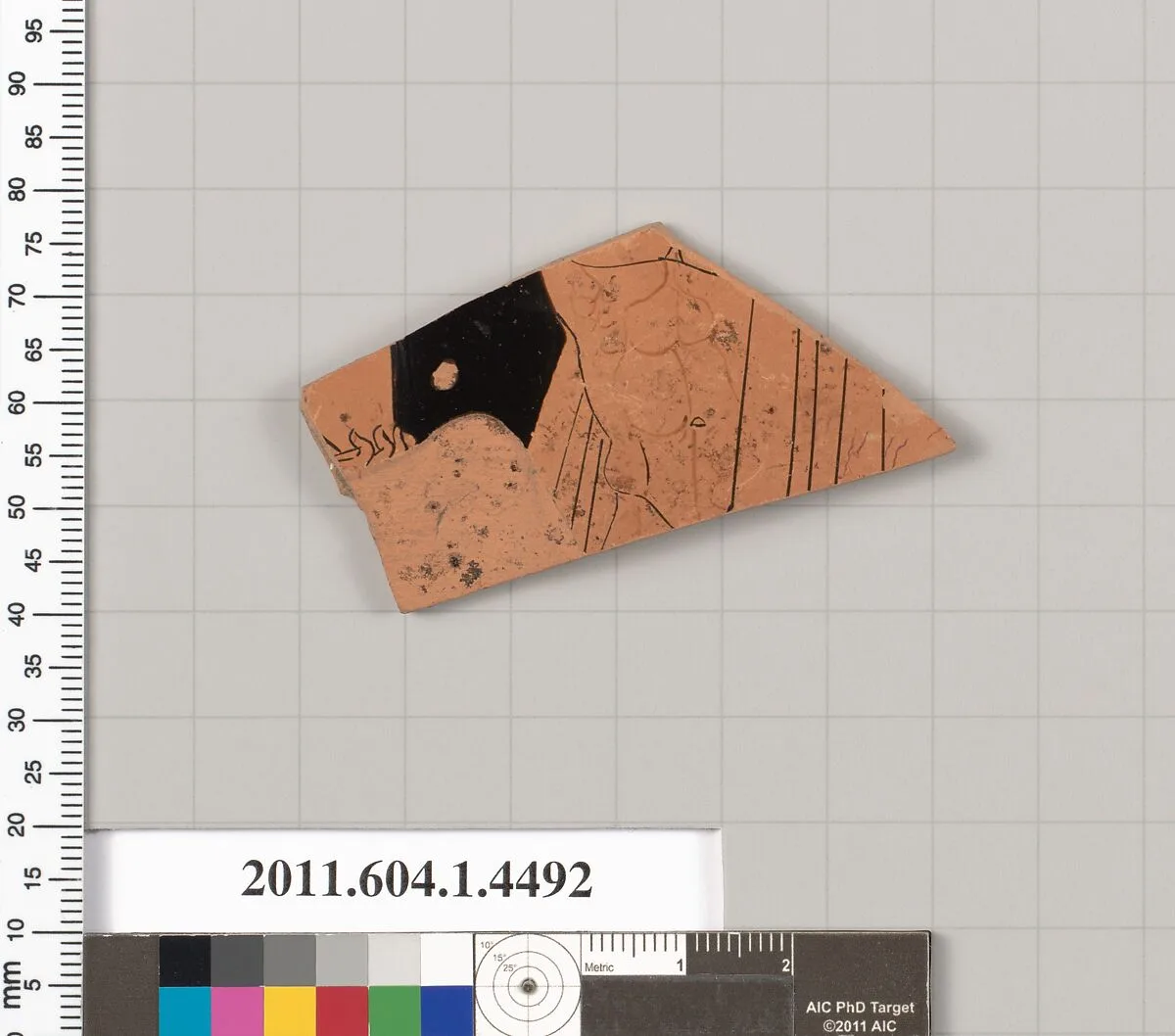 Terracotta fragment of a kylix (drinking cup) — Unknown