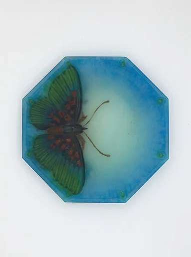Plate