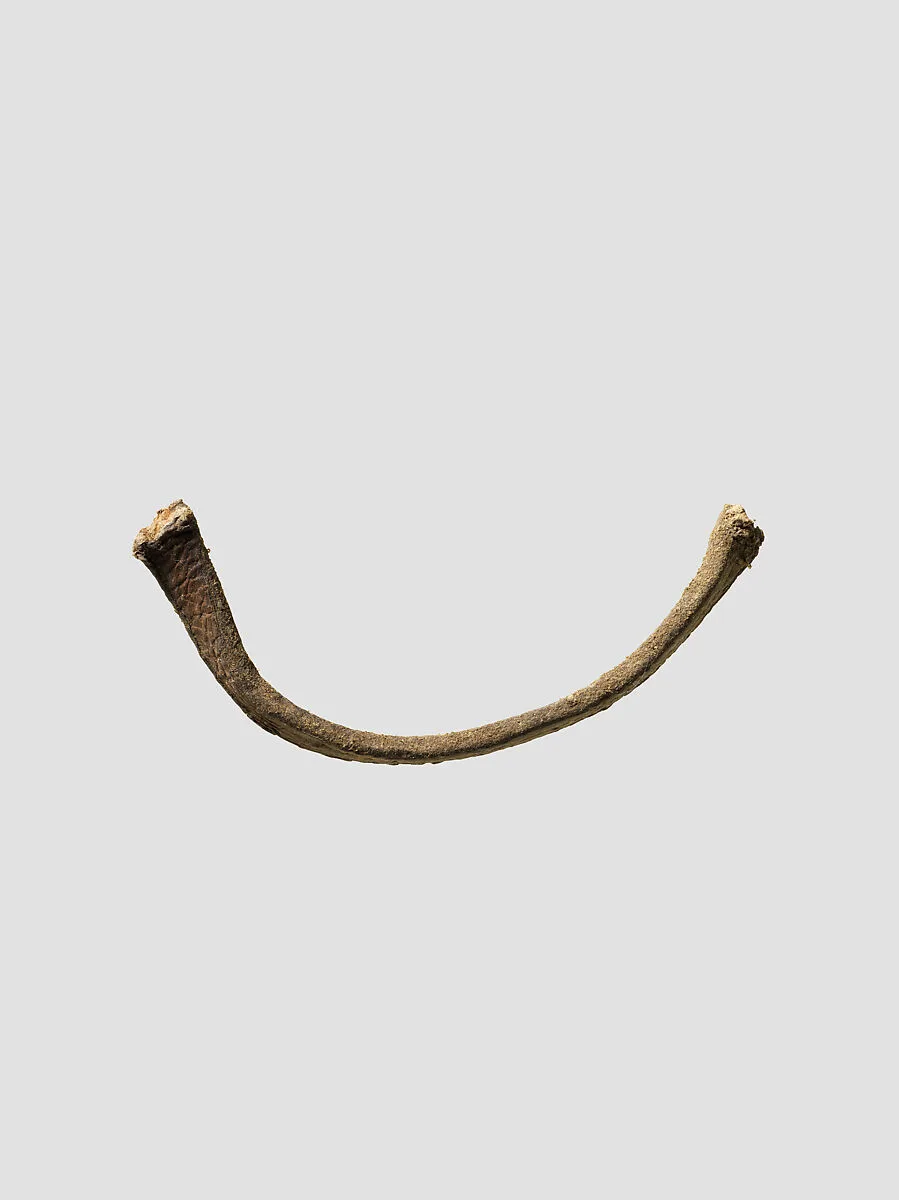 Leather cord — Unknown