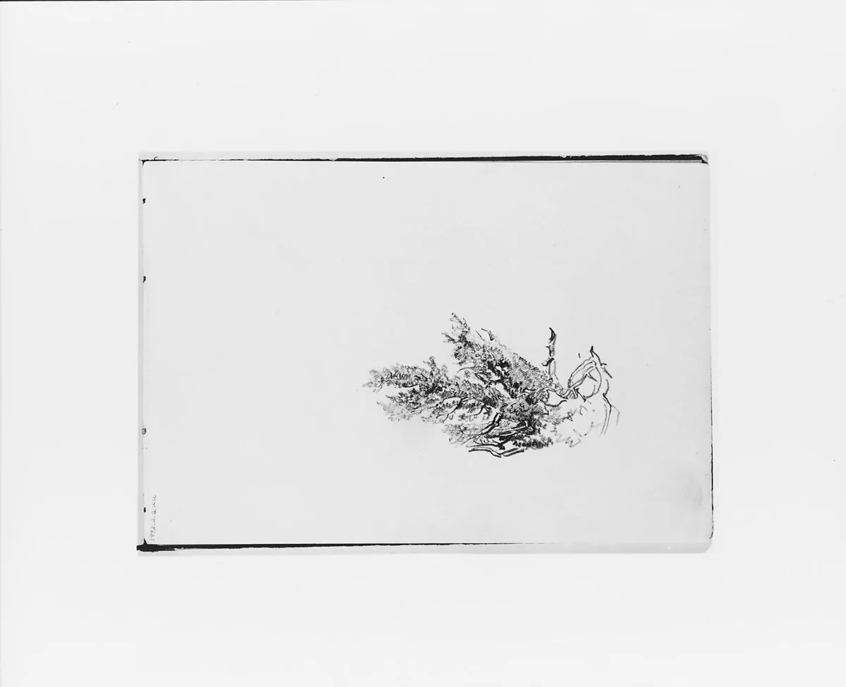Nature Study (from Sketchbook X) — William Trost Richards