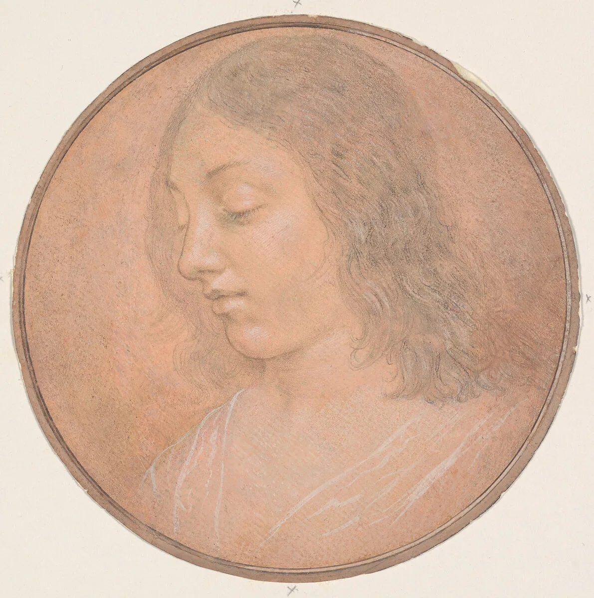 Head of a Young Woman — Lorenzo di Credi (Lorenzo d'Andrea d'Oderigo)