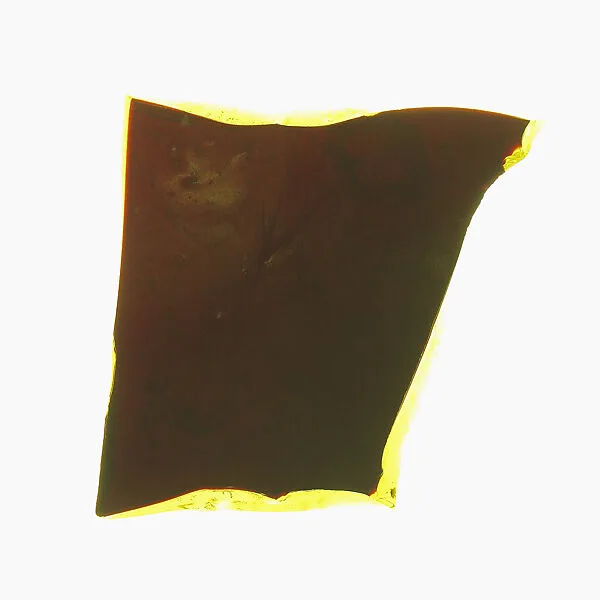 Glass Fragment — Unknown
