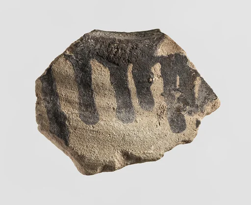 Sherd