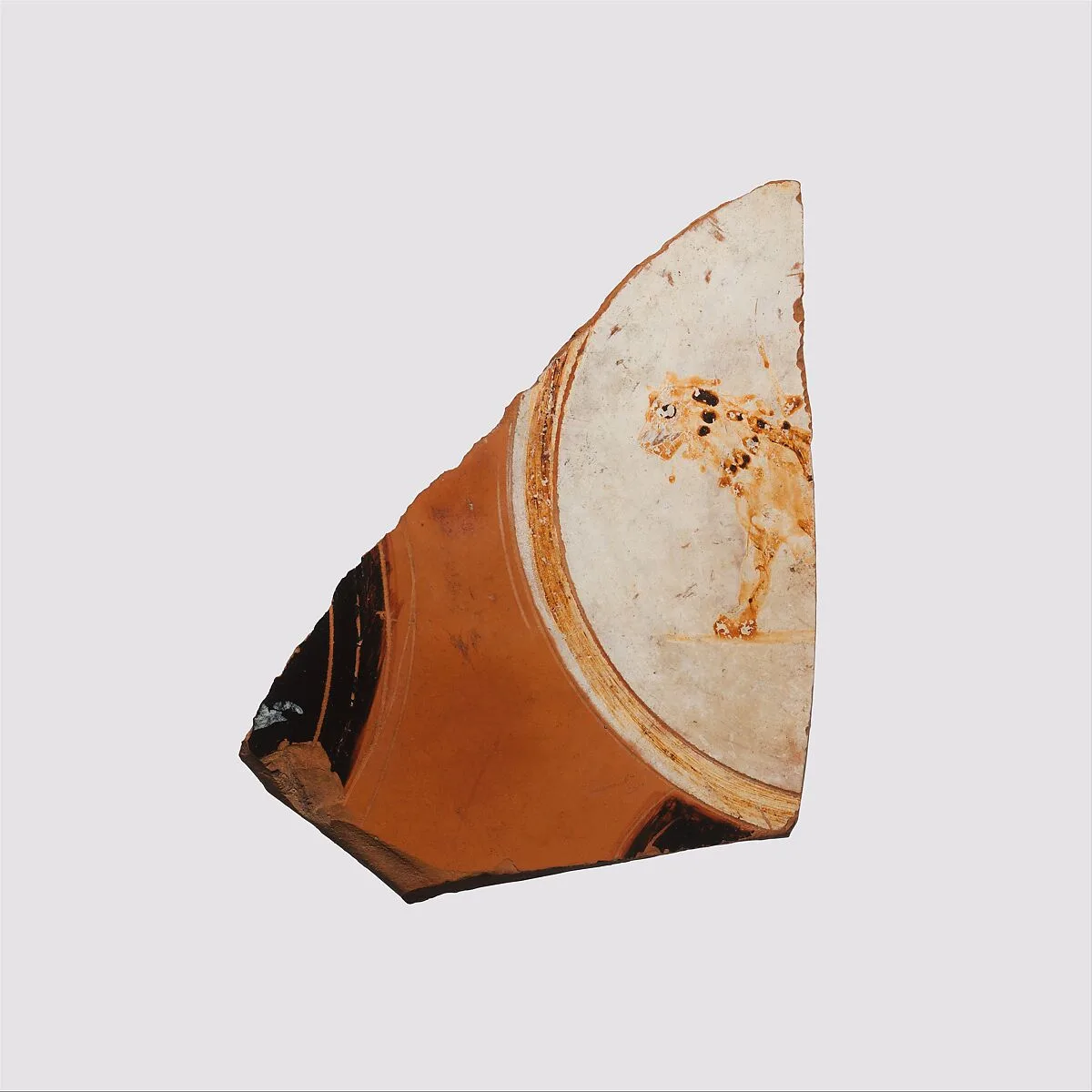 Fragment of a Panathenaic prize amphora (jar) — Unknown