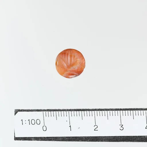 Seal