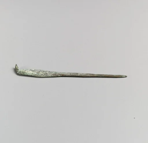 Spoon or ligula