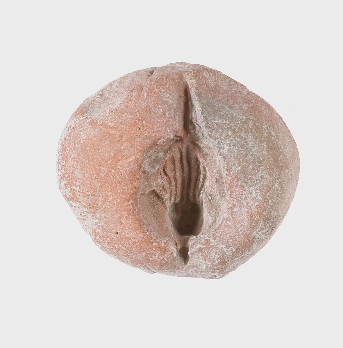 Frog Mold — Unknown