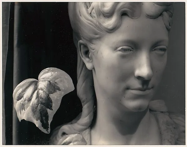 Marble Head and Leaf, San Francisco, California — Ansel Easton Adams