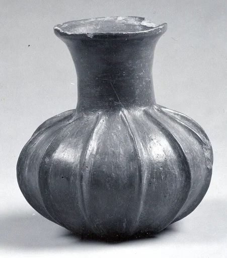 Bottle