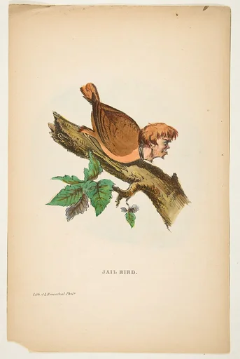 Jail Bird, from The Comic Natural History of the Human Race