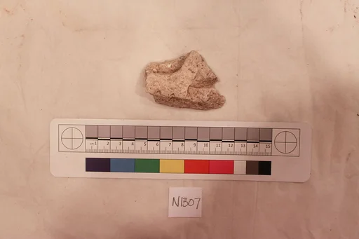 Stucco Fragment