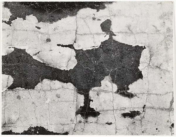 North Carolina 26 — Aaron Siskind