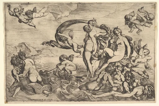 Venus on a Chariot