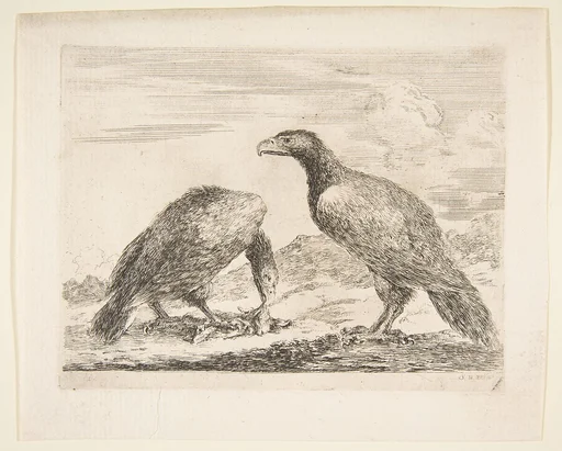Two eagles, one devouring a lamb, from 'Eagles' (Les aigles)