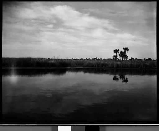 [Coastal Landscape, Florida]
