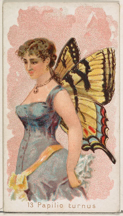Card 13, Papilio Turnus, from the Butterflies series (N183) issued by Wm. S. Kimball & Co. — Julius Bien|William S. Kimball & Company