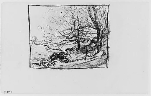 Two Trees on a Hill (from Sketchbook)