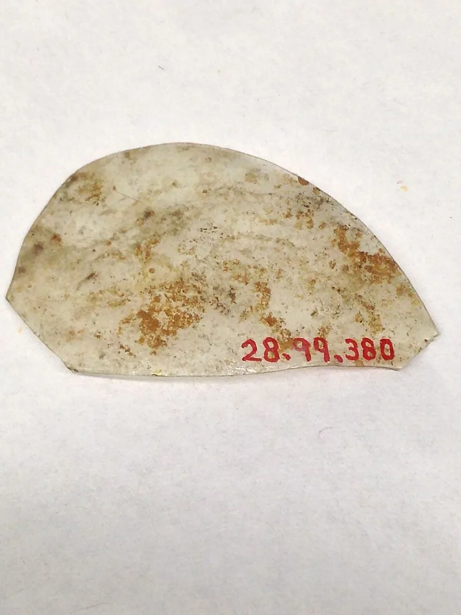 Fragment — Unknown