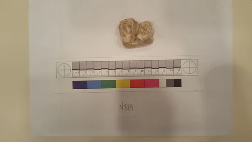 Stucco Fragment