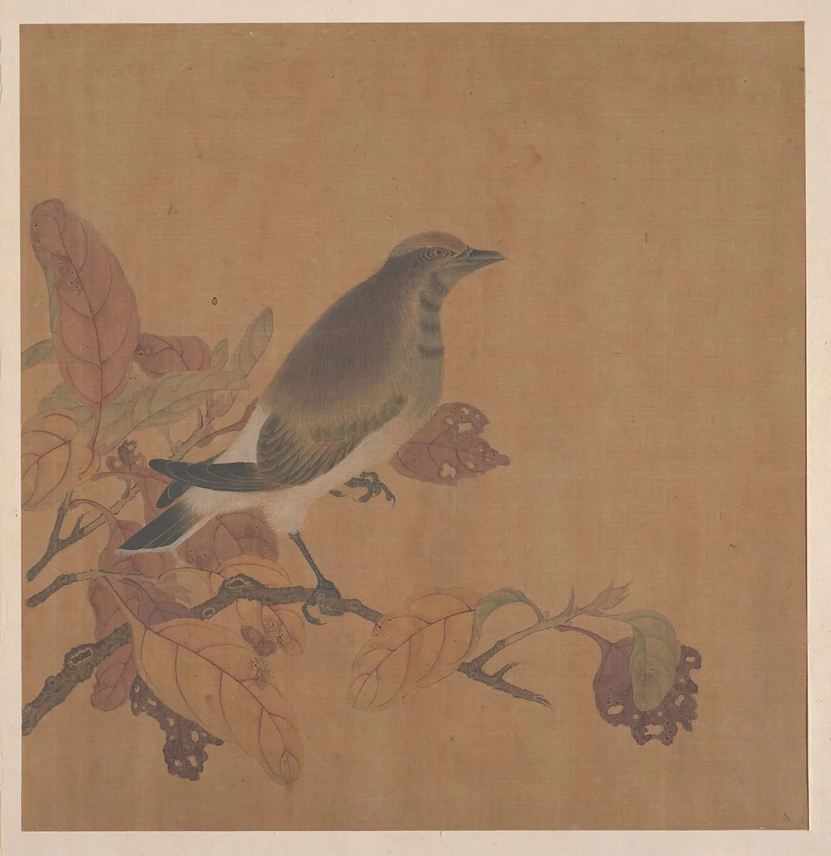 Untitled — Unidentified artist