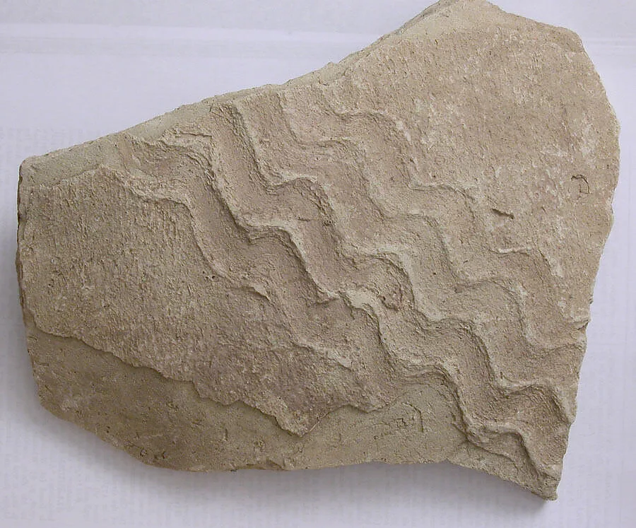 Fragment — Unknown