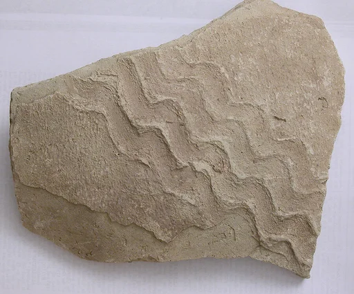Fragment