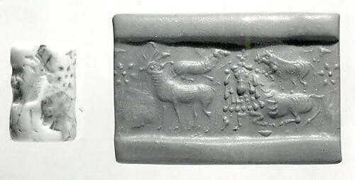 Cylinder seal — Unknown