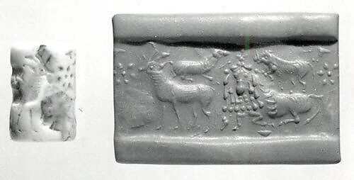 Cylinder seal