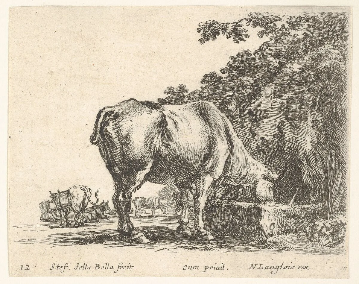 Plate 12: a cow drinking from a stone trough, other cows to left in background, from 'Diversi capricci' — Stefano della Bella|Nicolas Langlois
