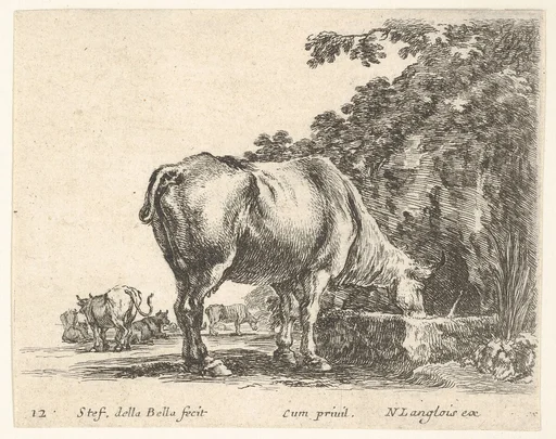 Plate 12: a cow drinking from a stone trough, other cows to left in background, from 'Diversi capricci'