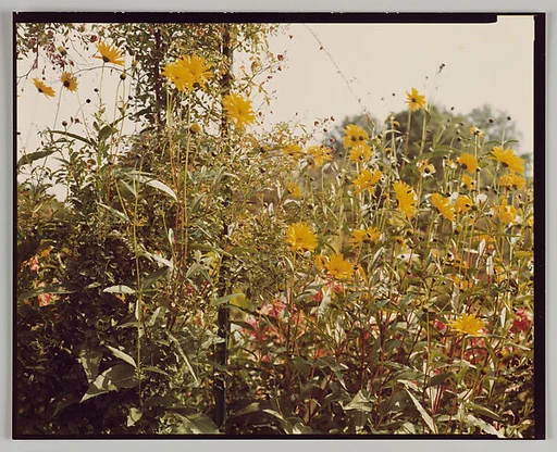 Giverny
