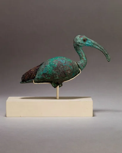 Ibis