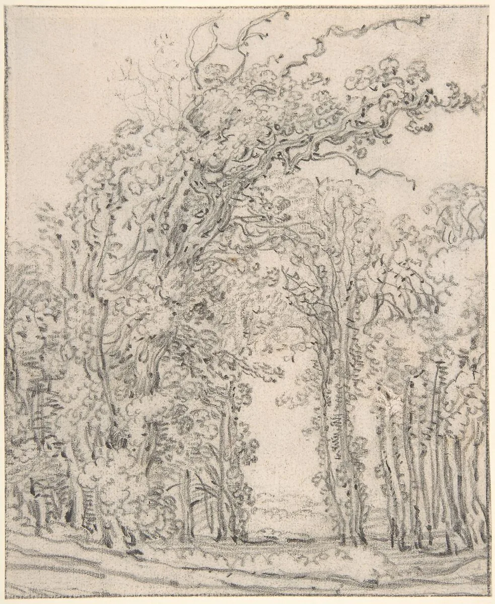 Study of Trees — François Ryckhals