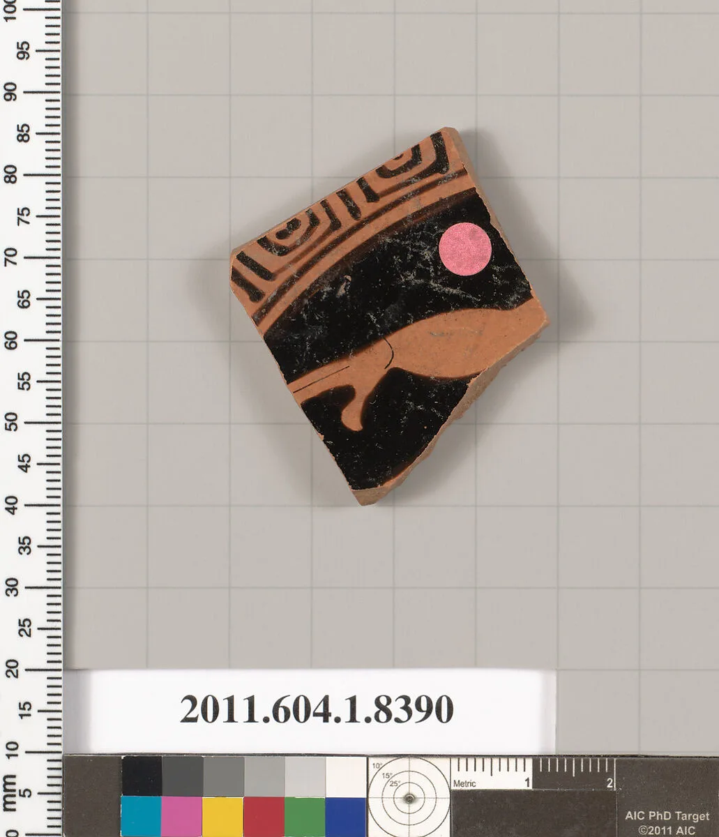 Terracotta fragment of a kylix (drinking cup) — Unknown