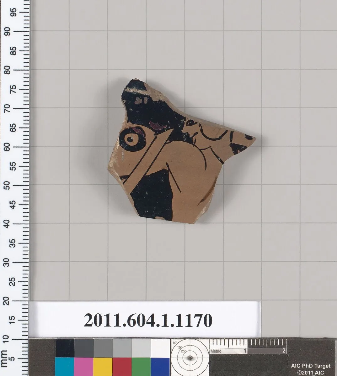 Terracotta fragment of a kylix (drinking cup) — Unknown